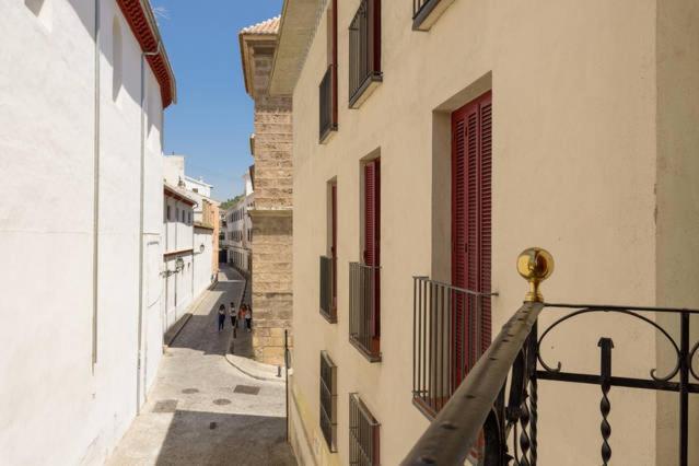Appartamento Apartamento En Pleno Centro, Wifi, Ideal Granada Esterno foto