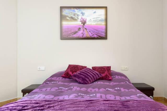 Appartamento Apartamento En Pleno Centro, Wifi, Ideal Granada Esterno foto