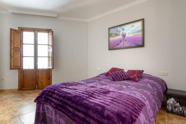 Appartamento Apartamento En Pleno Centro, Wifi, Ideal Granada Esterno foto