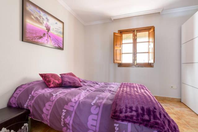 Appartamento Apartamento En Pleno Centro, Wifi, Ideal Granada Esterno foto